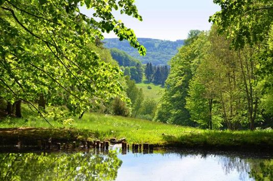 Landschaft-Natur-Innenverdichtung
